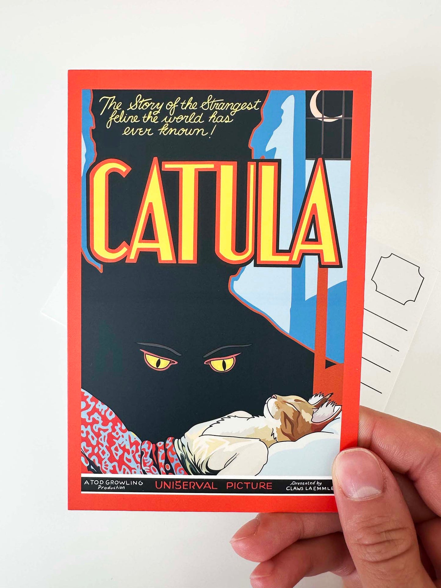 Catula Postcard