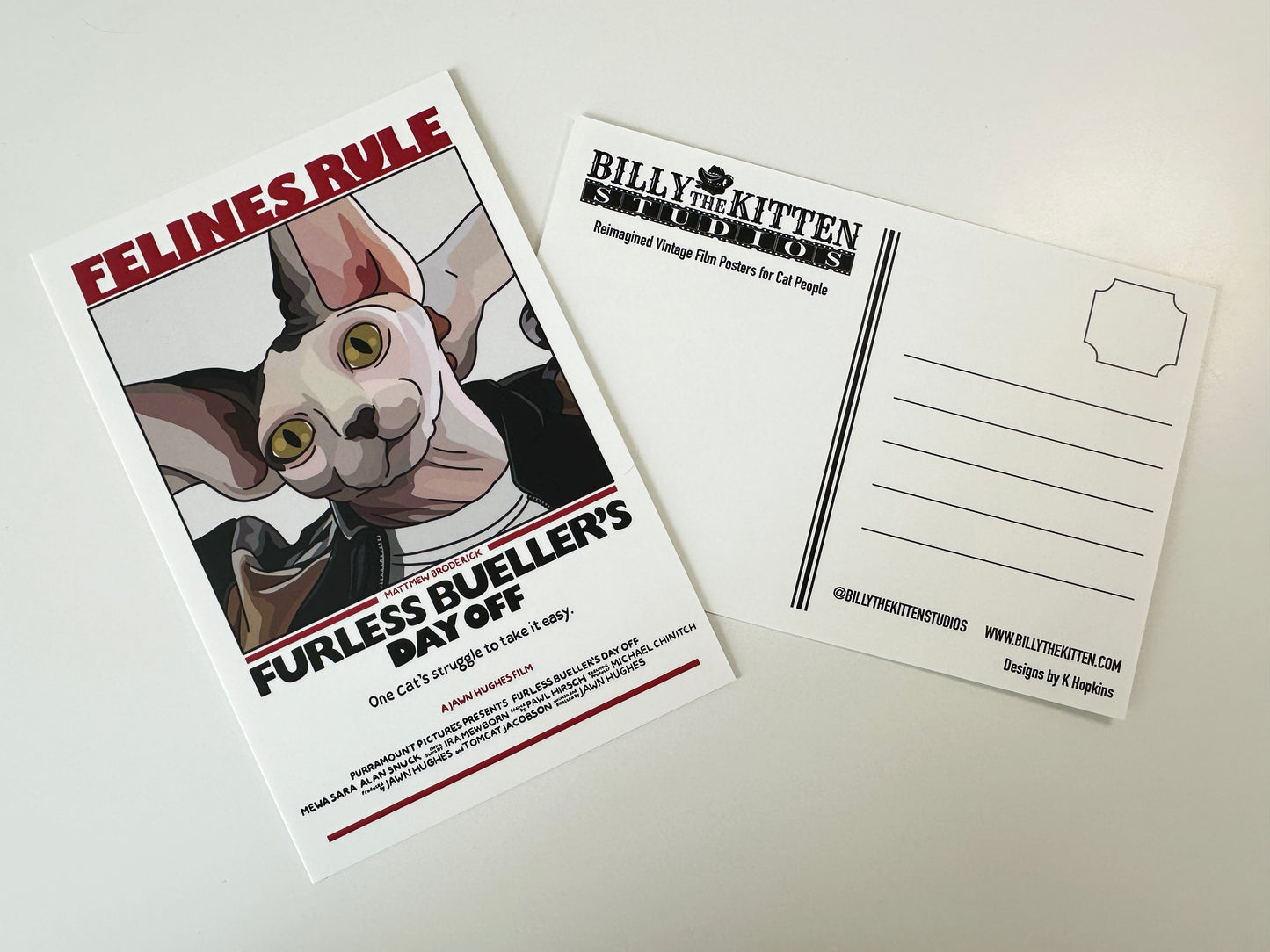 Furless Bueller's Day Off Postcard