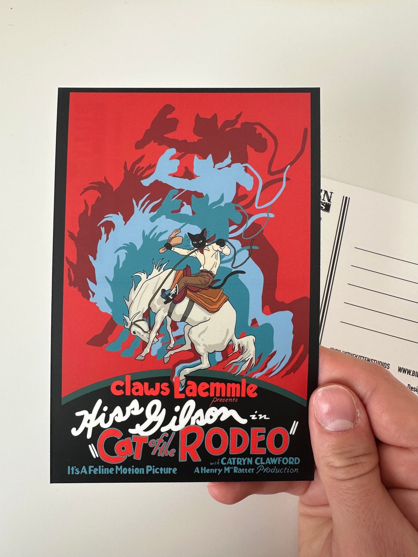 Cat of the Rodeo Postcard