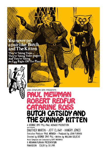 Butch Catsidy and the Sunnap Kitten Unframed Print
