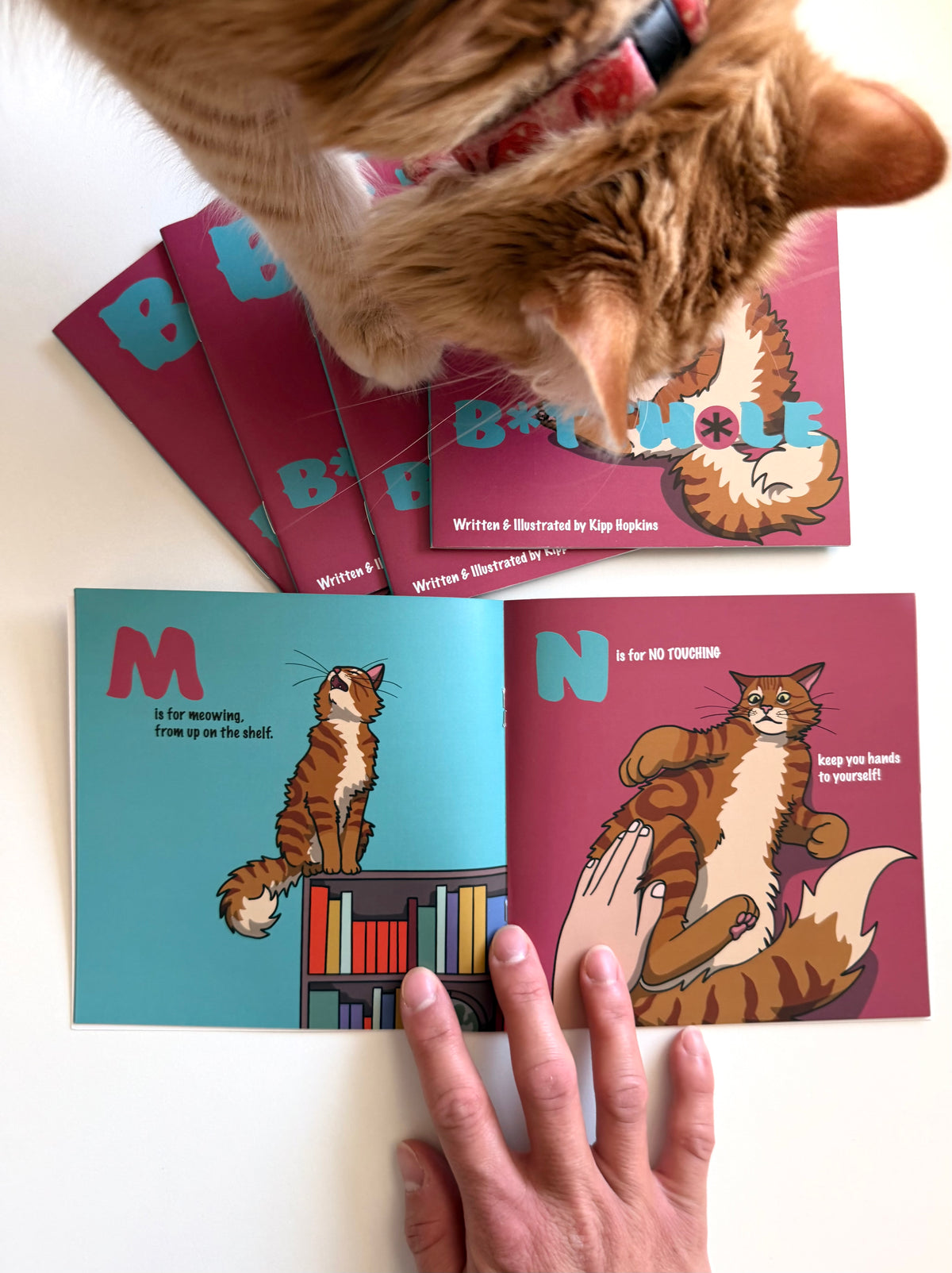 B Is For B*tthole: A Silly Feline Alphabet Poem by Kipp Hopkins