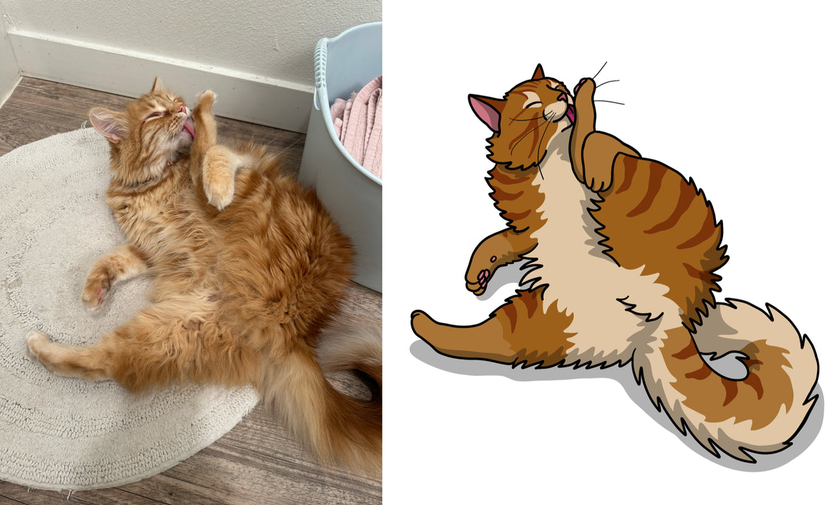 B Is For B*tthole: A Silly Feline Alphabet Poem by Kipp Hopkins
