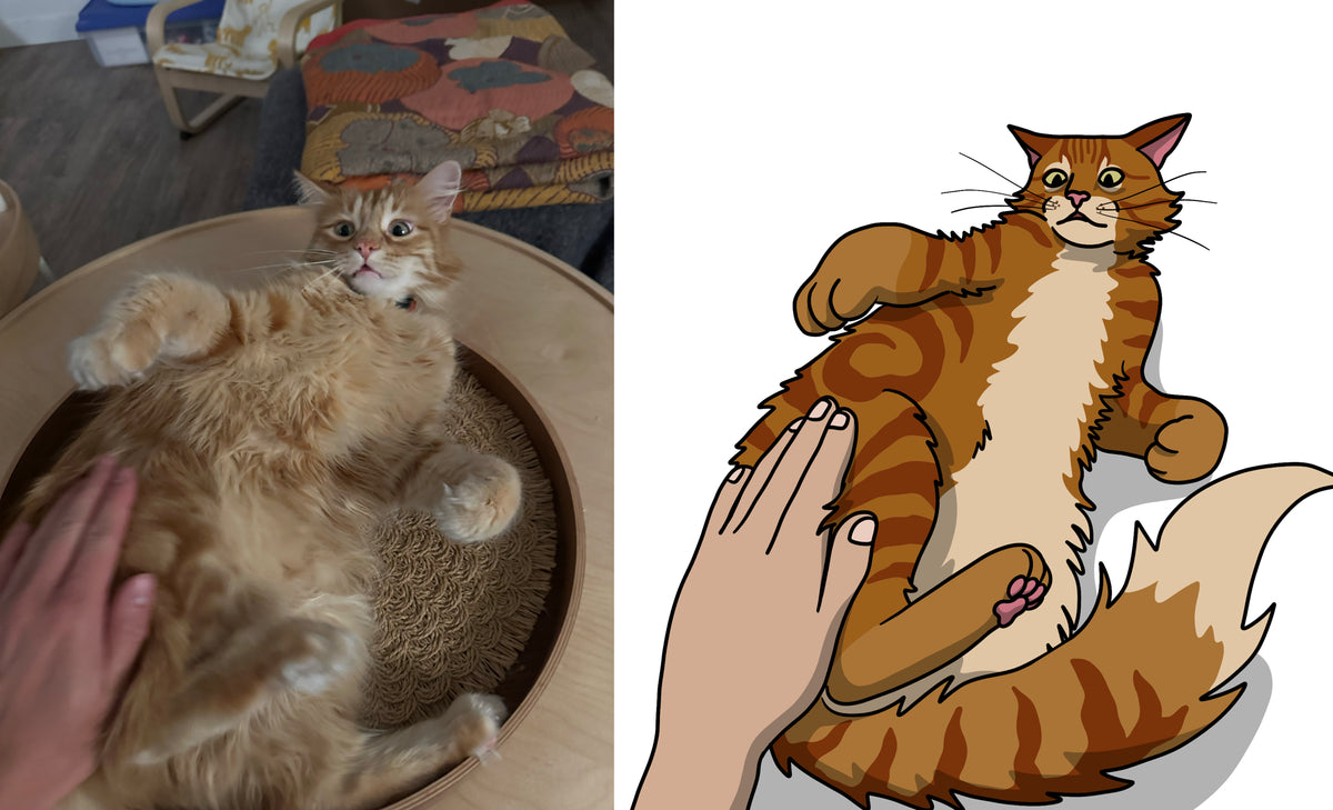 B Is For B*tthole: A Silly Feline Alphabet Poem by Kipp Hopkins