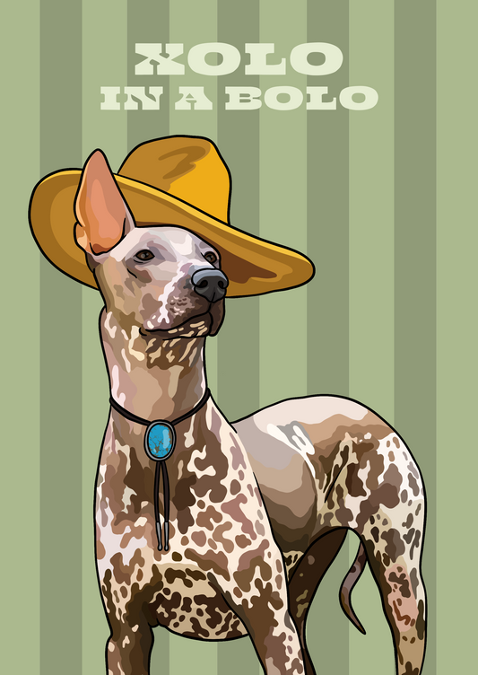 Xolo in a Bolo Unframed Print